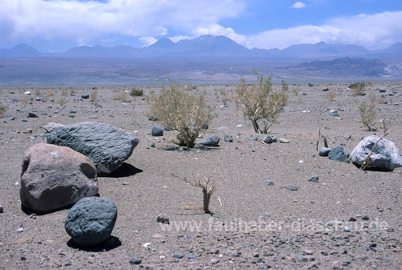 Atacama