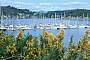 Puerto Montt