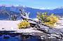 Bariloche
