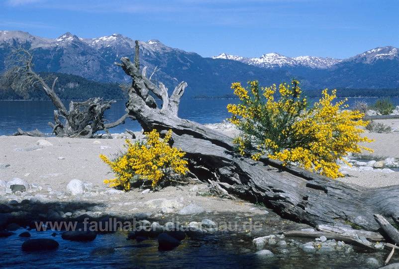 Bariloche