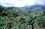 Blue Mountains