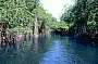 Black River