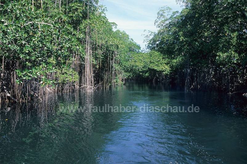 Black River