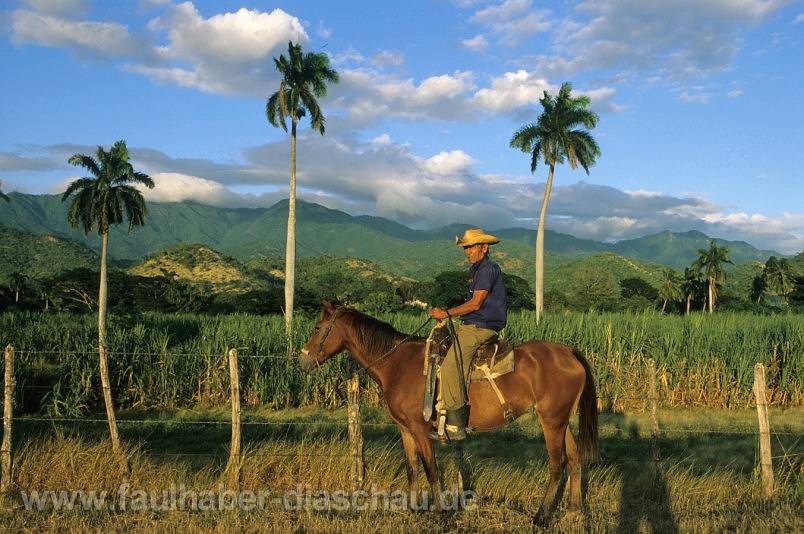 Sierra Maestra