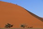 D�nenwanderung