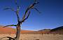 Dead Vlei