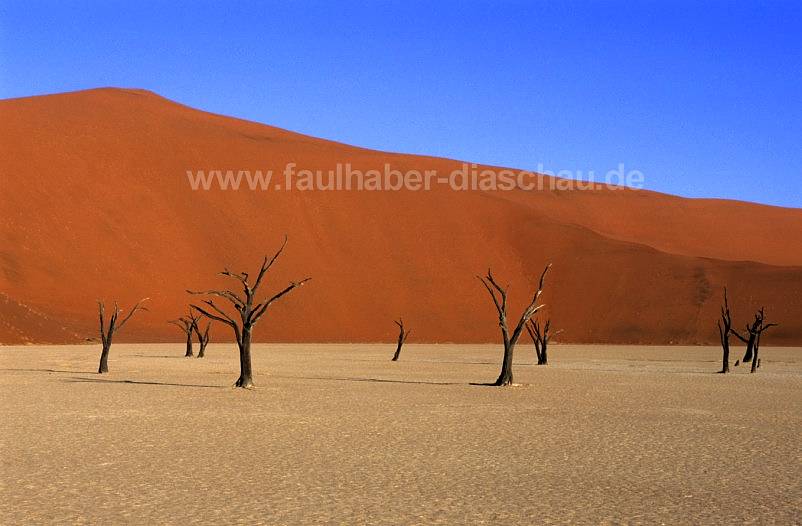 Dead Vlei