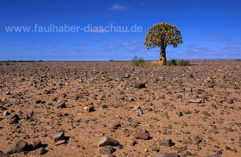 Weites Land