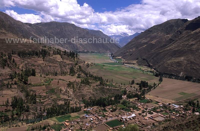 Urubambatal