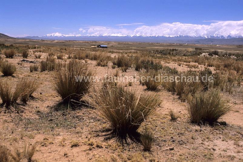Altiplano