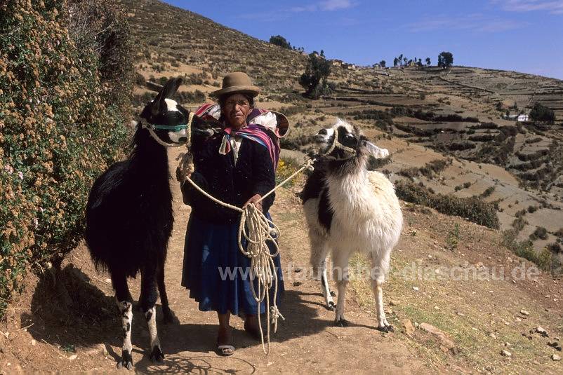 Frau mit Lamas auf der Sonneninsel